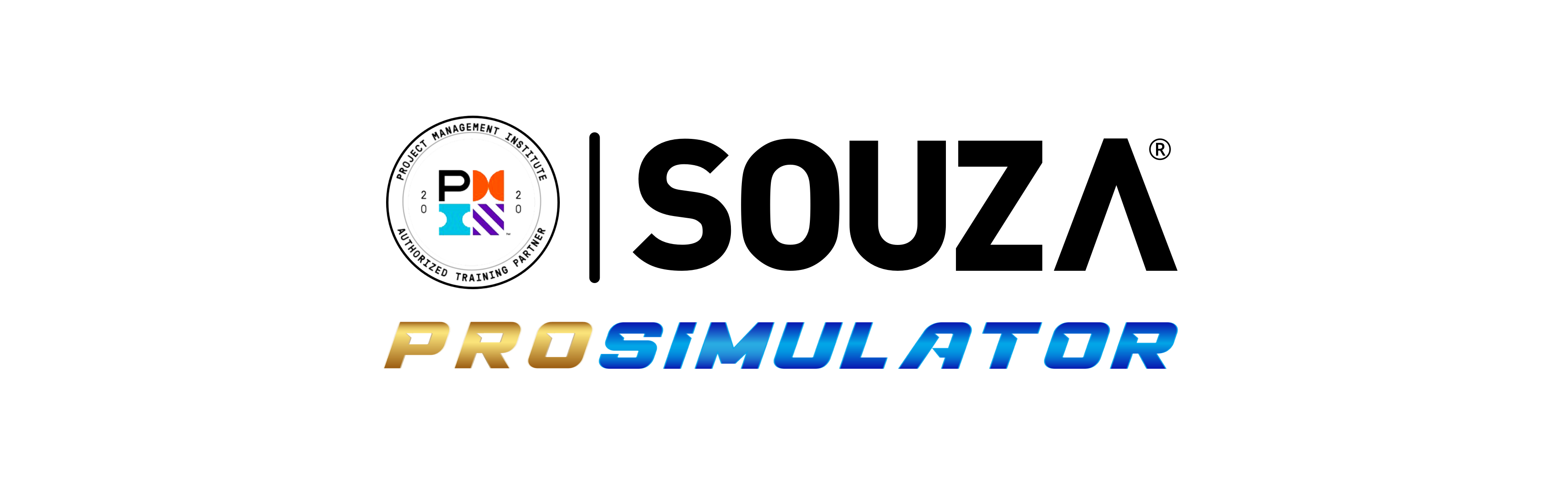 Souza Pro Simulator PMP® 